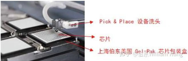 Gel-Pak 芯片包装盒